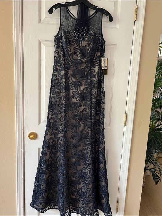 Ignite Evenings Dresses & Skirts - Sleeveless Navy Embroidered Maxi Dress with Sheer Yoke